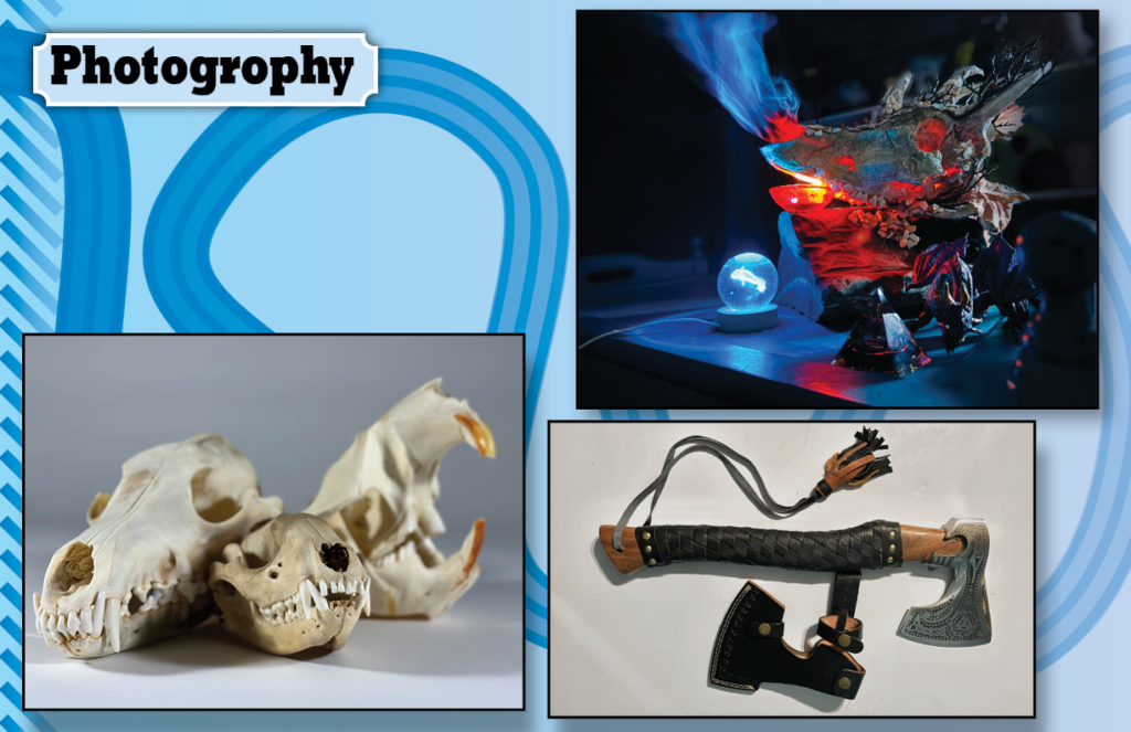 portfolio8